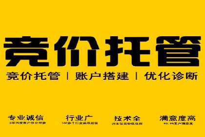 金融行业SEM运营的技巧与成功案例